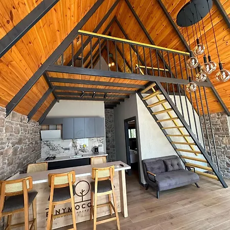 Dom wakacyjny Finymoco *